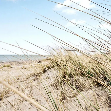 Cozy In With Kitchen